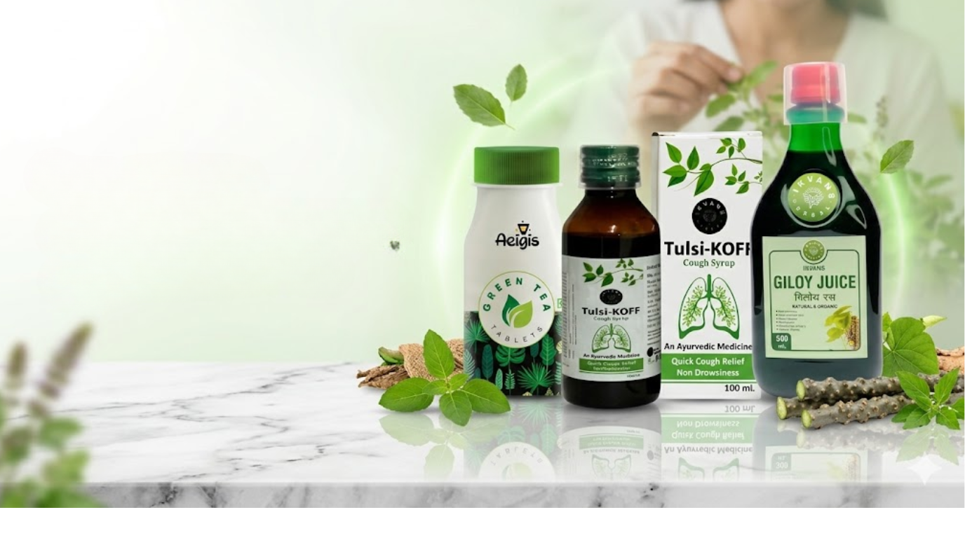 Giloy vs Tulsi vs Ashwagandha: Which Immunity Herb Is Right for You?
